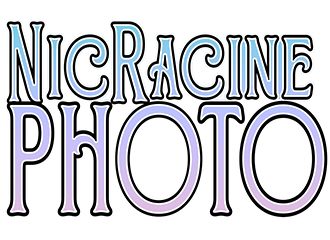Nicolas Racine photographe